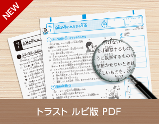 トラスト ルビ版 PDF